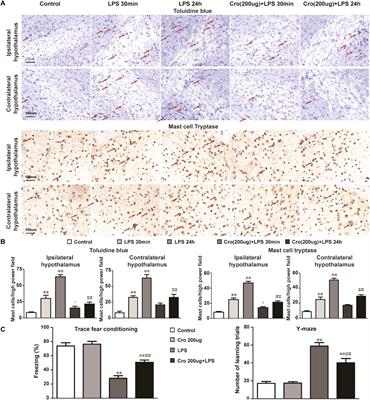 Stabilization of Brain Mast Cells Alleviates LPS-Induced Neuroinflammation by Inhibiting Microglia Activation